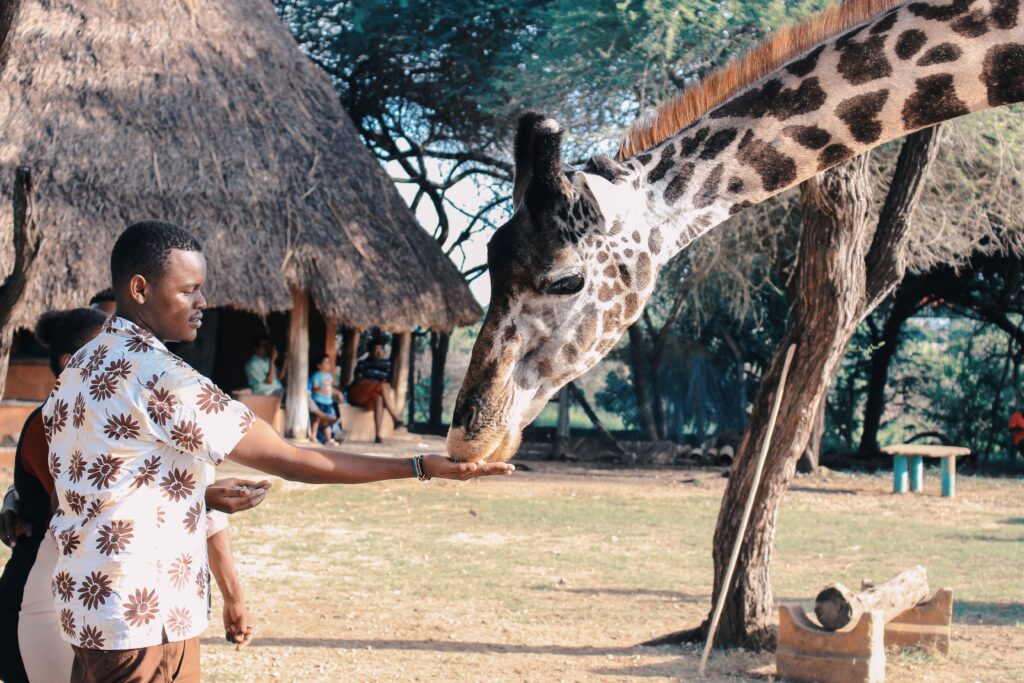 6 Days Etosha And Twyfelfontein Safari Tour